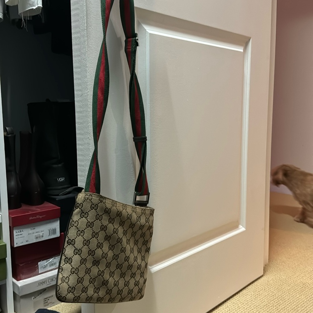 Gucci bag